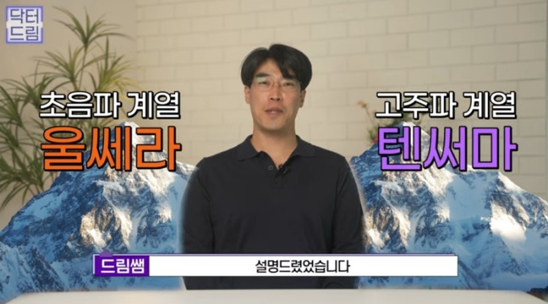 2023결산_ 가장 인기많은 핫한 레이저는? 사진 3