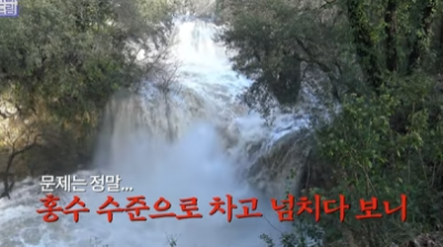[강남역성형외과] 성형외과 처음갈 때 망하고 싶지 않으면 보세요 (상담꿀팁, 병원선택기준) 사진 15